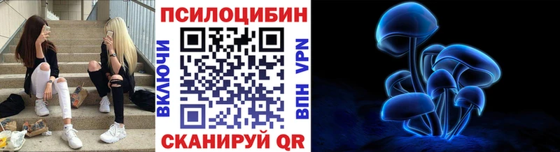 Псилоцибиновые грибы мухоморы  где купить наркоту  Лакинск 
